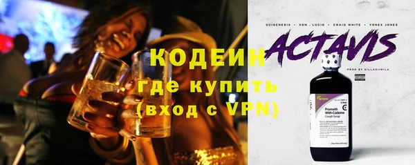 хмурый Алексин