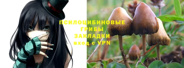 хмурый Алексин