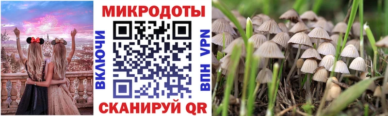 Галлюциногенные грибы Cubensis  купить   Любим 